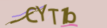 Enter the character string shown in the picture