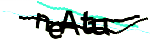 Enter the character string shown in the picture