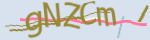 Enter the character string shown in the picture