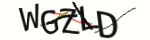 Enter the character string shown in the picture